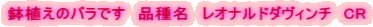 Ãoł@i햼@Iih_B`@CR 
